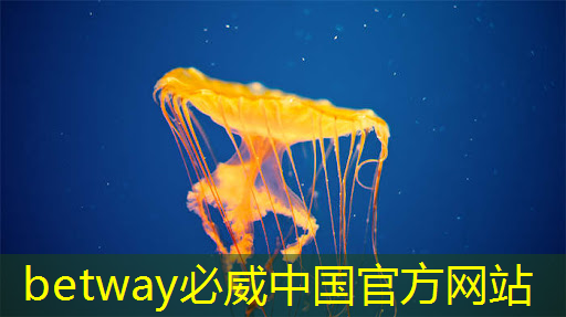 betway必威：5g互联网医疗机构有哪些