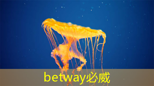 betway必威西汉姆联官网:中国芯片现状 vs 未来发展趋势 betway必威西汉姆联官网:中国芯片现状 vs 未来发展趋势