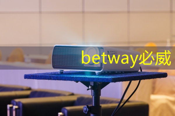 betway必威:ASIC芯片王者!垄断45%市场份额,大厂抛弃GPU,下一个常山北明? betway必威:ASIC芯片王者!垄断45%市场份额,大厂抛弃GPU,下一个常山北明?