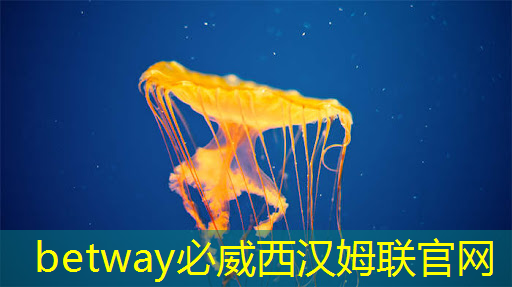 betway必威:清华发布《人工智能芯片技术白皮书(2018)》 betway必威:清华发布《人工智能芯片技术白皮书(2018)》