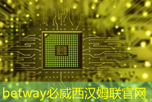 betway必威:快手SL200芯片获选2023世界互联网大会“创新发展典型案例” betway必威:快手SL200芯片获选2023世界互联网大会“创新发展典型案例”