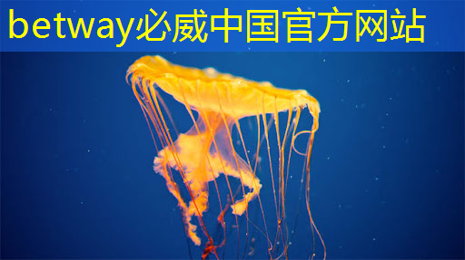 ASIC芯片+AI智算中心+布局硅光芯片+重组预期,潜力秒杀双成药业,问鼎2024跨年第一龙头 ASIC芯片+AI智算中心+布局硅光芯片+重组预期,潜力秒杀双成药业,问鼎2024跨年第一龙头