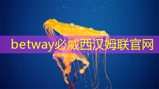 必威:美国以“国家安全”名义,审查中国使用RISC-V芯片技术的风险 必威:美国以“国家安全”名义,审查中国使用RISC-V芯片技术的风险