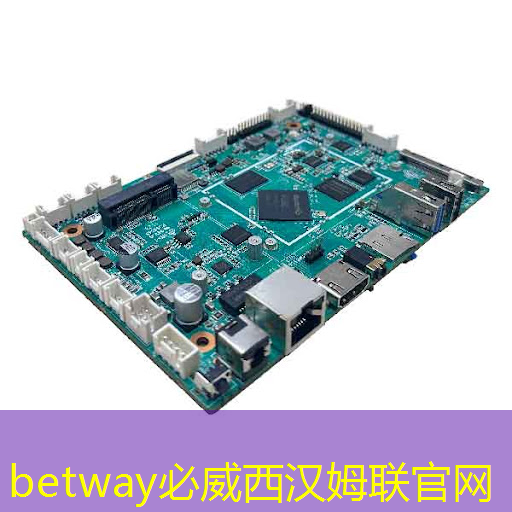 betway必威中国官方网站:张强:中国汽车智能芯片行业里的行动派 betway必威中国官方网站:张强:中国汽车智能芯片行业里的行动派