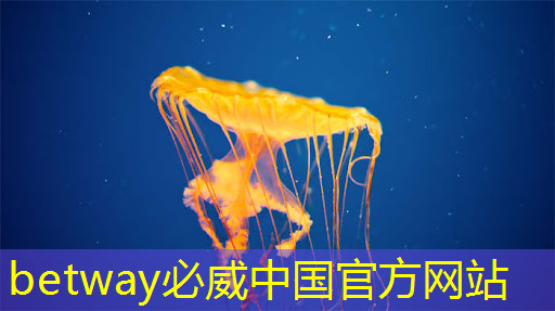 betway必威:燧原科技:做大芯片,拼硬科技!首发国内第二代人工智能训练芯片“邃思2.0”! betway必威:燧原科技:做大芯片,拼硬科技!首发国内第二代人工智能训练芯片“邃思2.0”!