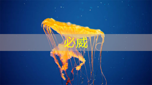 必威:美媒:全球芯片短缺或持续到2023年 必威:美媒:全球芯片短缺或持续到2023年
