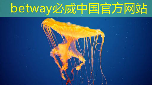 betway必威西汉姆联官网:【121期】每天研究一个行业:车规级芯片行业 betway必威西汉姆联官网:【121期】每天研究一个行业:车规级芯片行业