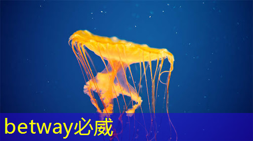 台湾芯片产业的角力,未来新战争的焦点 台湾芯片产业的角力,未来新战争的焦点