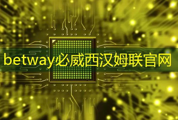 betway必威西汉姆联官网:“万物互联芯片”项目:开拓万亿级元宇宙市场|深创赛国际赛“优质项目”风采 betway必威西汉姆联官网:“万物互联芯片”项目:开拓万亿级元宇宙市场|深创赛国际赛“优质项目”风采
