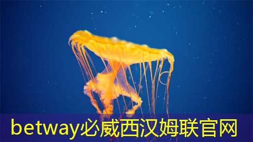 国产亿级像素成像芯片解决方案商威派视授权世强硬创代理全线产品 国产亿级像素成像芯片解决方案商威派视授权世强硬创代理全线产品
