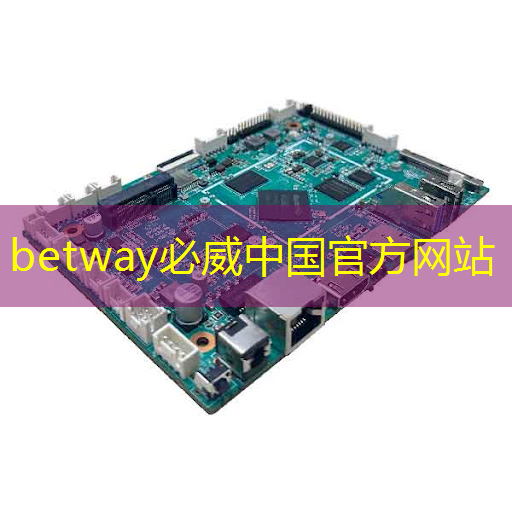 美芯片禁令禁的是美国自己的财路自主开发走出不一样的康庄大道 美芯片禁令禁的是美国自己的财路自主开发走出不一样的康庄大道
