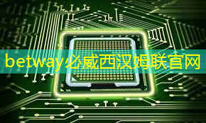 11.16继续买买买(芯片+虚拟现实) 11.16继续买买买(芯片+虚拟现实)