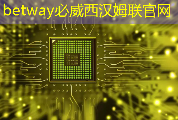 泰凌微:边缘AI芯片及开发平台的先行者 泰凌微:边缘AI芯片及开发平台的先行者