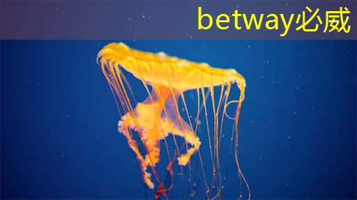 betway必威中国官方网站:燧原科技:做大芯片,拼硬科技!首发国内第二代人工智能训练芯片“邃思2.0”! betway必威中国官方网站:燧原科技:做大芯片,拼硬科技!首发国内第二代人工智能训练芯片“邃思2.0”!