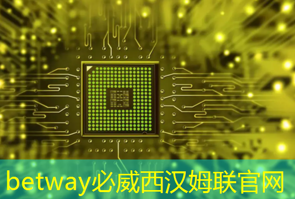 betway必威中国官方网站:AI, GPU和芯片的未来 betway必威中国官方网站:AI, GPU和芯片的未来
