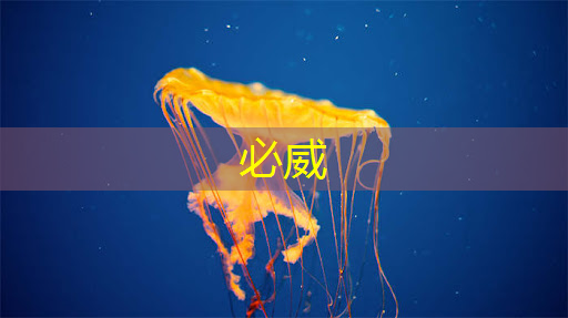 必威:支持五大主流语音助手的智能音频平台,可降低功耗 65% 的蓝牙芯片,高通吃定了语音市场?| CES 2018 必威:支持五大主流语音助手的智能音频平台,可降低功耗 65% 的蓝牙芯片,高通吃定了语音市场?| CES 2018
