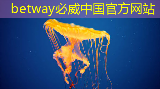 betway必威中国官方网站:集成纸基微流芯片传感器的隐形眼镜用于泪液原位分析 betway必威中国官方网站:集成纸基微流芯片传感器的隐形眼镜用于泪液原位分析