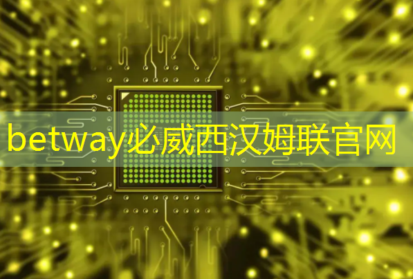 betway必威西汉姆联官网:比亚迪拟自研智能驾驶芯片,欲强补智能化|Long China 50独家 betway必威西汉姆联官网:比亚迪拟自研智能驾驶芯片,欲强补智能化|Long China 50独家