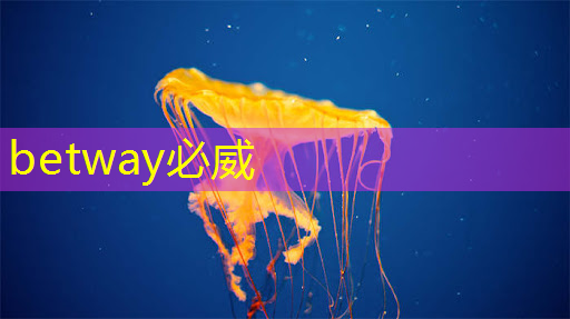 betway必威西汉姆联官网:会员风采 国民技术发布单芯片安全智能门锁方案 betway必威西汉姆联官网:会员风采 国民技术发布单芯片安全智能门锁方案