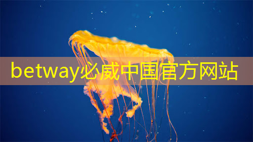 betway必威西汉姆联官网:语音方案考勤打卡机WT6040FPic芯片 betway必威西汉姆联官网:语音方案考勤打卡机WT6040FPic芯片