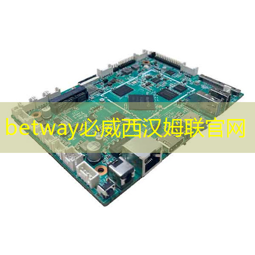 betway必威西汉姆联官网:AI, GPU和芯片的未来 betway必威西汉姆联官网:AI, GPU和芯片的未来
