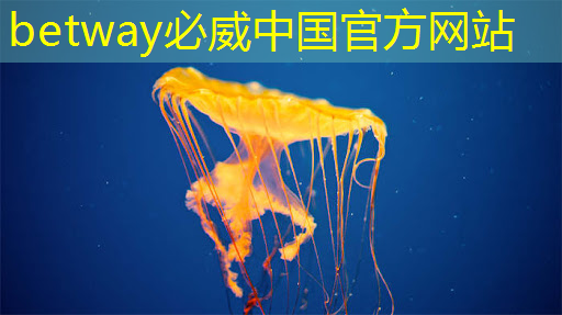 betway必威:芯片检测的“无损革命”:半导体非破坏性分析 betway必威:芯片检测的“无损革命”:半导体非破坏性分析