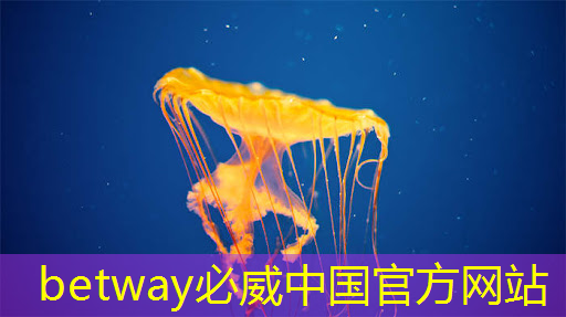 倒计时2天 | 车规芯片、半导体装备、光电子及新应用方向,三大MEMS细分技术主题论坛限时报名 倒计时2天 | 车规芯片、半导体装备、光电子及新应用方向,三大MEMS细分技术主题论坛限时报名