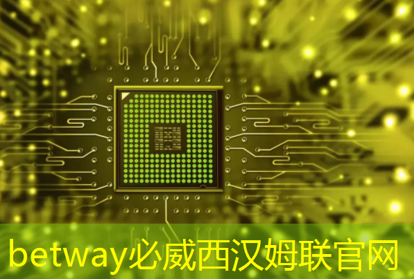 betway必威:英集芯这颗快充协议芯片打入紫米供应链:累计出货破千万颗! betway必威:英集芯这颗快充协议芯片打入紫米供应链:累计出货破千万颗!
