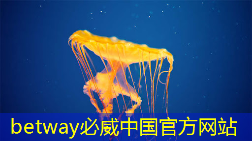 betway必威中国官方网站:中国存储芯片王者,华为战略控股,未来超越北方华创 betway必威中国官方网站:中国存储芯片王者,华为战略控股,未来超越北方华创