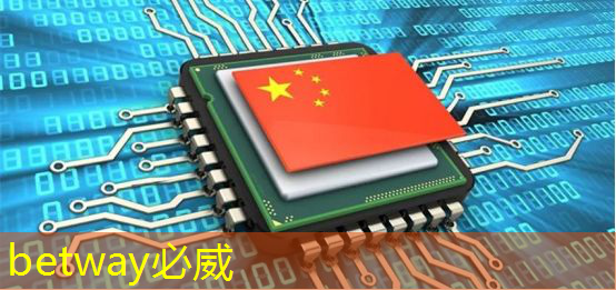 betway必威中国官方网站：清华发布《人工智能芯片技术白皮书（2018）》