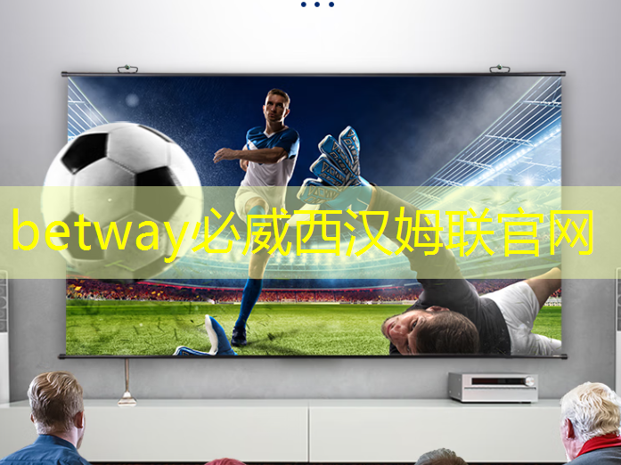 betway必威中国官方网站：泰凌微：边缘AI芯片及开发平台的先行者