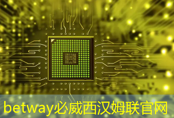 betway必威：《人工智能芯片技术白皮书（2018）》发布（附下载）