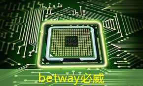 betway必威:张强:中国汽车智能芯片行业里的行动派 betway必威:张强:中国汽车智能芯片行业里的行动派