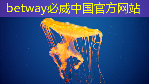 云豹智能产品应用负责人安东尼:云原生DPU芯片的创新与应用|直播预告 云豹智能产品应用负责人安东尼:云原生DPU芯片的创新与应用|直播预告