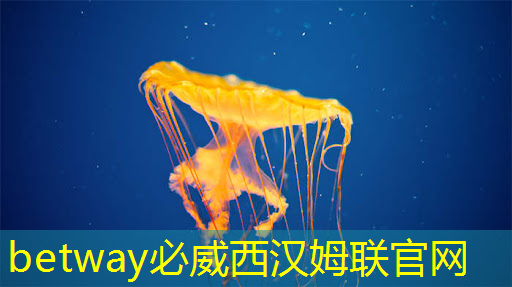 必威:公开课预告:一芯多屏趋势下,智能座舱芯片的创新与应用 必威:公开课预告:一芯多屏趋势下,智能座舱芯片的创新与应用
