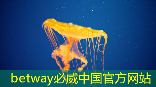 必威:曾航:支持国产芯片,从培育生态开始 必威:曾航:支持国产芯片,从培育生态开始