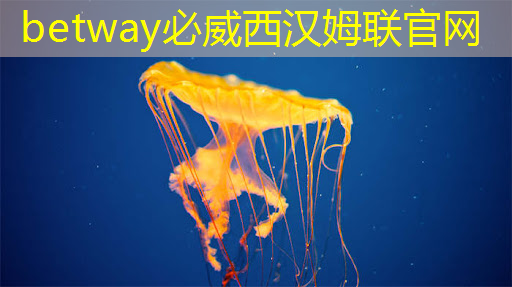 betway必威:华为订购1600片AI芯片:智能时代的核心竞争力 betway必威:华为订购1600片AI芯片:智能时代的核心竞争力