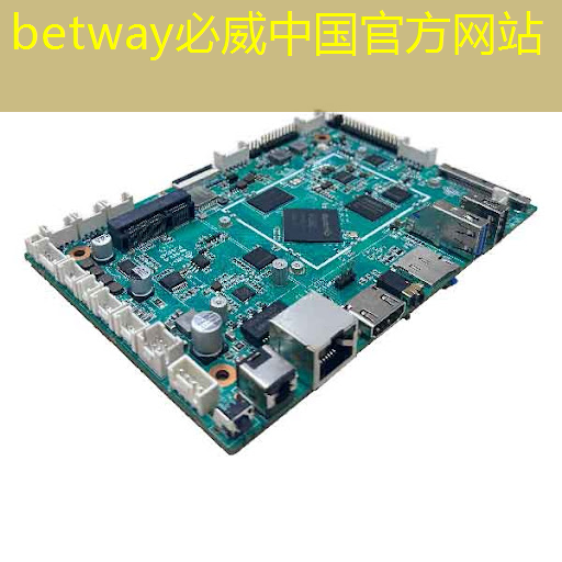 betway必威中国官方网站：科普／汽车芯片一篇长文说透彻