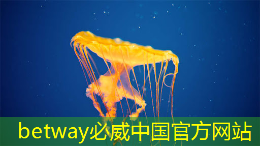 betway必威西汉姆联官网：华为麒麟芯片AI首席科学家，解读AI芯片如何让手机更智能