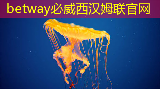 脸书也要自建团队设计芯片，想降低对英特尔、高通的依赖