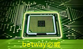 美国以“国家安全”名义，审查中国使用RISC-V芯片技术的风险