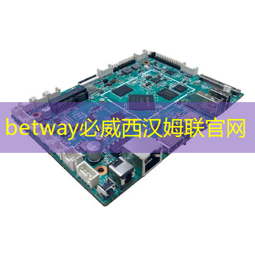 betway必威:AI芯片龙头业绩狂飙1033%!世界领先+国内第一,东方“博通”强势崛起! betway必威:AI芯片龙头业绩狂飙1033%!世界领先+国内第一,东方“博通”强势崛起!