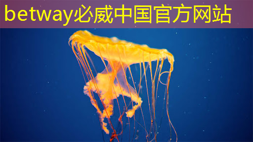必威:日经:拆解荣耀手机,美国芯片取代中国芯片。。。 必威:日经:拆解荣耀手机,美国芯片取代中国芯片。。。
