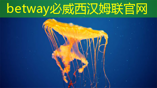 betway必威:全志科技领涨,芯片股新宠儿 betway必威:全志科技领涨,芯片股新宠儿