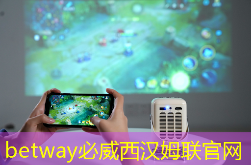 betway必威西汉姆联官网:半导体芯片,5家优质企业 betway必威西汉姆联官网:半导体芯片,5家优质企业