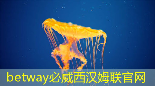 betway必威:RK3399芯片在消费产品中的应用及PCB设计关键注意事项 betway必威:RK3399芯片在消费产品中的应用及PCB设计关键注意事项