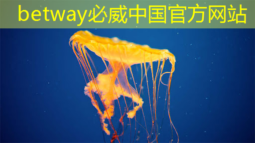 betway必威中国官方网站:芯片与电子产品验证测试创新蓝图(下) betway必威中国官方网站:芯片与电子产品验证测试创新蓝图(下)