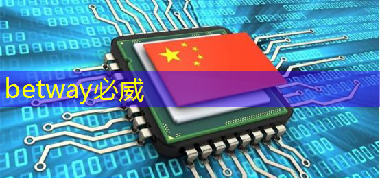 betway必威:清微智能CTO欧阳鹏:可重构语音AI芯片如何应对不同场景下的低功耗要求 betway必威:清微智能CTO欧阳鹏:可重构语音AI芯片如何应对不同场景下的低功耗要求