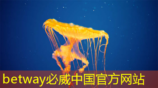 betway必威西汉姆联官网：美国以“国家安全”名义，审查中国使用RISC-V芯片技术的风险