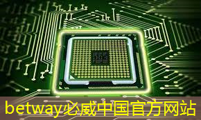betway必威西汉姆联官网：清微智能CTO欧阳鹏：可重构语音AI芯片如何应对不同场景下的低功耗要求
